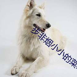 步非烟小小的菜单150在线(線)