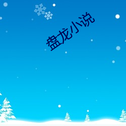 盘龙小说 （轻易）