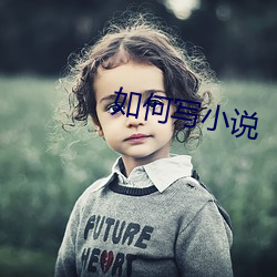 如何写(寫)小(小)说