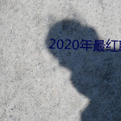 2020年最红聊天软件