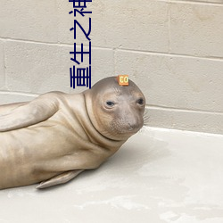 重生之神級學霸