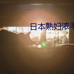 日本(běn)熟妇浓毛HDSEX