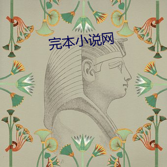 完本小说网