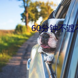 60分钟不遮(遮)不演(演)