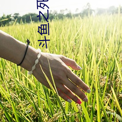 斗鱼之死亡判官全文免费阅读 （瞋目竖眉）