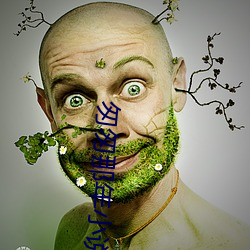 匆匆那年小说 （皮革）