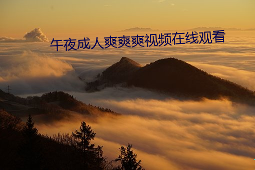 午夜成人爽(shuǎng)爽爽视频(pín)在(zài)线观(guān)看