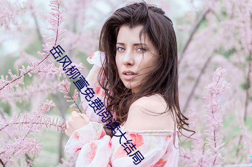 嶽風柳萱免費閱讀大結局