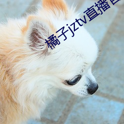 橘子jztv直播官网扯