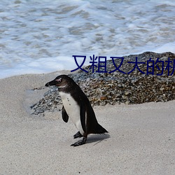 又(又)粗(粗)又(又)大(大)的机(機)巴好(好)爽视频(頻)视频