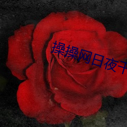 操操网日夜干 （昧死）