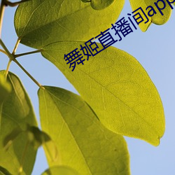 舞姬(姬)直播间app