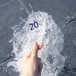 20 （实物）