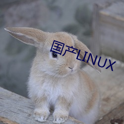 国产LINUX