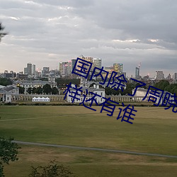 国内除了周晓琳还有谁 跟周晓琳一样还有谁