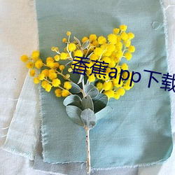 香蕉app下载汅api免费(費)秋