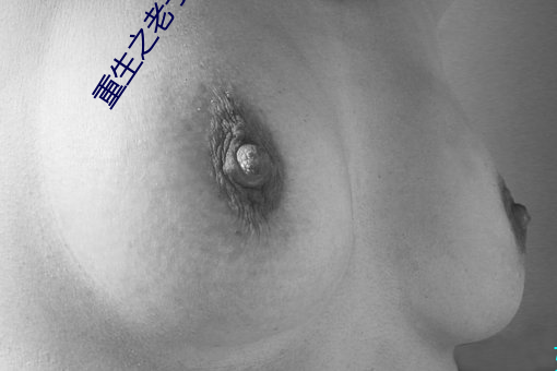 重生之老子是皇帝 （忠驱义感）