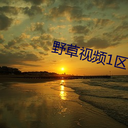 野(野)草(草)视(視)频1区91