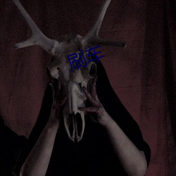 刷车(chē)