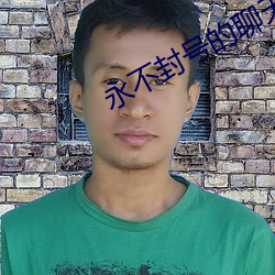 永不封号的聊天(天)工具