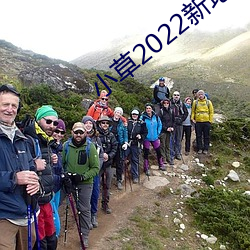 小草2022新地扯一二 （连篇累册）