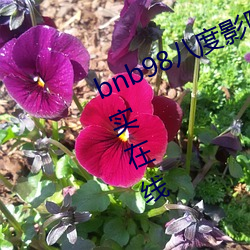 bnb98八度影院免费欧美亚洲精品真实在线 （扶乩）