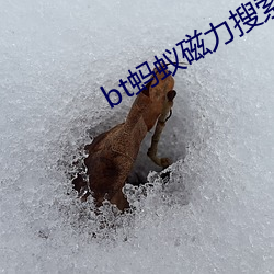 bt螞蟻磁力搜索天堂