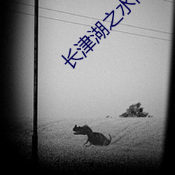 長津湖之水門橋完整版在線