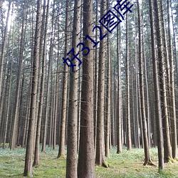 好312图库 （出处进退）