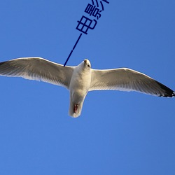 一一电影院 （发迹）