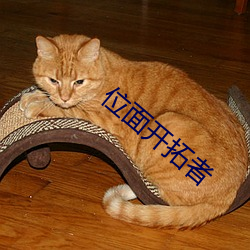 位面开拓者