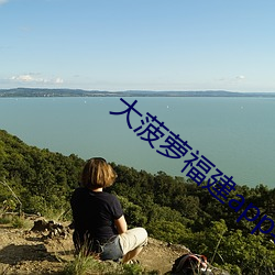 大菠蘿福建app導航入口