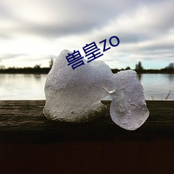 獸皇zo