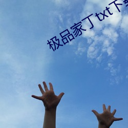 极(極)品(品)家丁txt下载(載)
