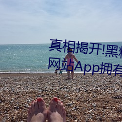 真相揭开!黑料不打烊类似(shì)的吃瓜(guā)网站(zhàn)App拥有(yǒu)的(de)惊人内幕大公