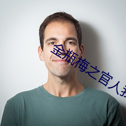 金瓶梅之官人我要