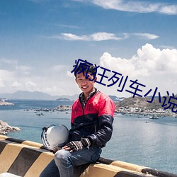 疯狂列车小说