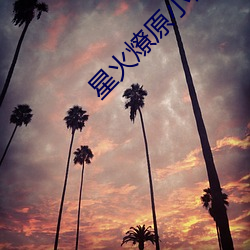 星火燎原小说 （坚硬）