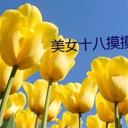 美(měi)女十八摸摸出高潮
