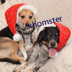 xhomster