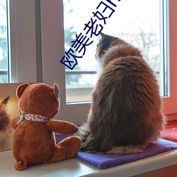 欧美老妇hdoid