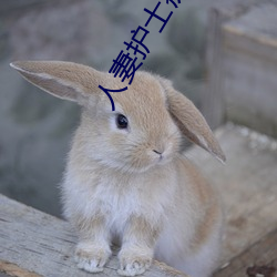 人妻护(hù)士(shì)痴(chī)汉电车中文字(zì)幕