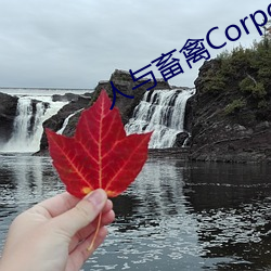 人与畜禽Corporation(共生之路)