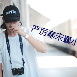 严厉寒宋襄小说免费阅读全文