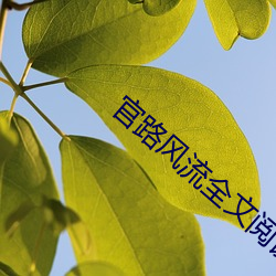 官路风流全文阅读