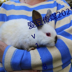 爱(ài)豆传媒2021精品入口在线观看版 v1.8 每(měi)天三次免费