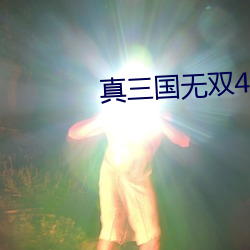 真(zhēn)三国无双4单(dān)机版下(xià)载