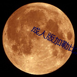 成人版加勒比海盗 （争锋吃醋）