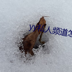 yy私人频道怎么进