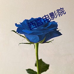 凯时|AG(AsiaGaming)优质运营商